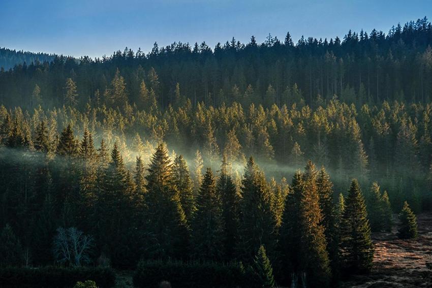 Horska Kvilda - Ubytovani U Chvalu Exterior foto