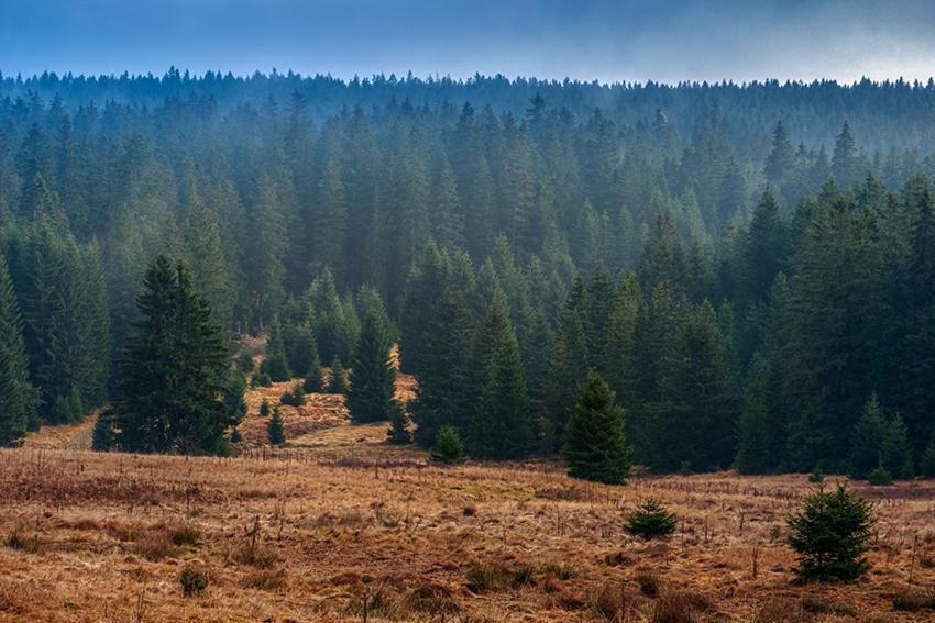 Horska Kvilda - Ubytovani U Chvalu Exterior foto