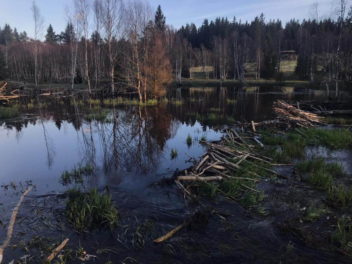 Horska Kvilda - Ubytovani U Chvalu Exterior foto