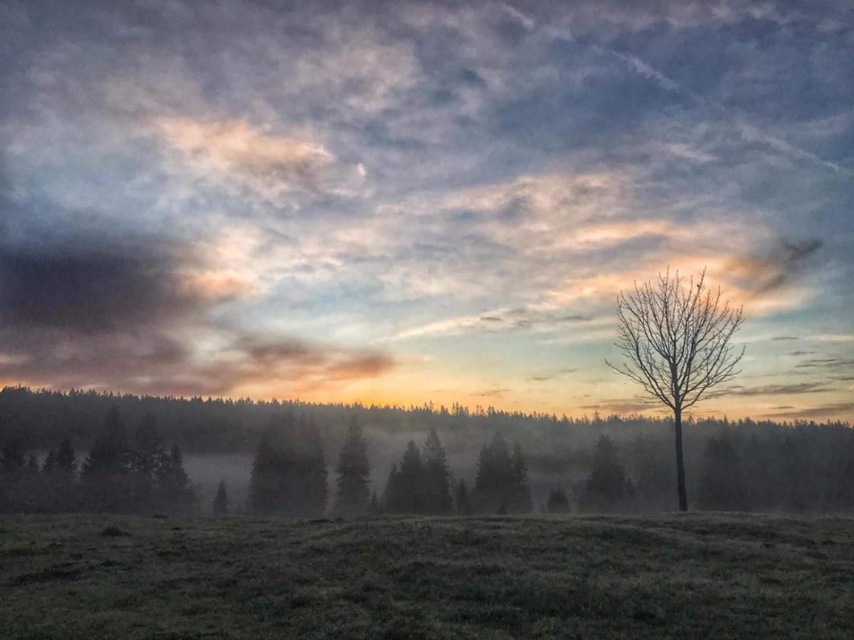 Horska Kvilda - Ubytovani U Chvalu Exterior foto