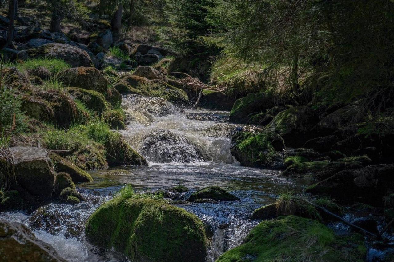 Horska Kvilda - Ubytovani U Chvalu Exterior foto