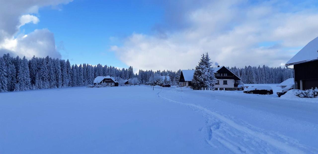 Horska Kvilda - Ubytovani U Chvalu Exterior foto