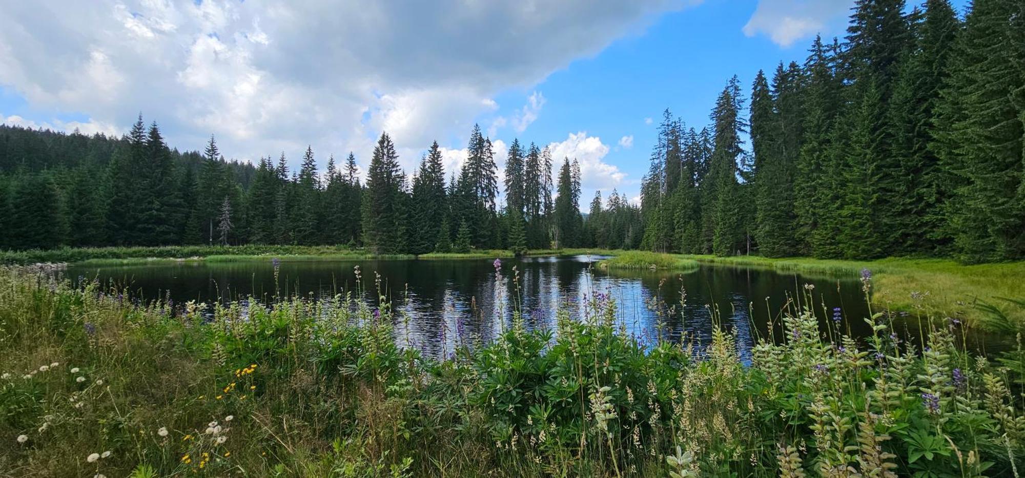 Horska Kvilda - Ubytovani U Chvalu Exterior foto